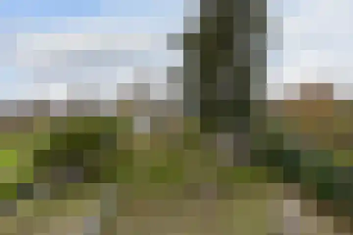 Achterbos 89 Vinkeveen thumbnail 24