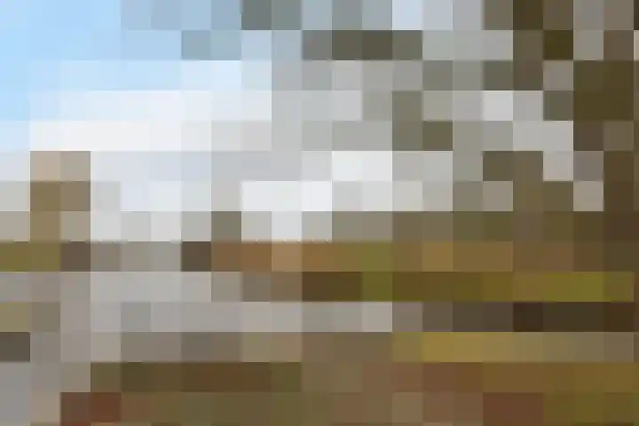 Achterbos 89 Vinkeveen thumbnail 26