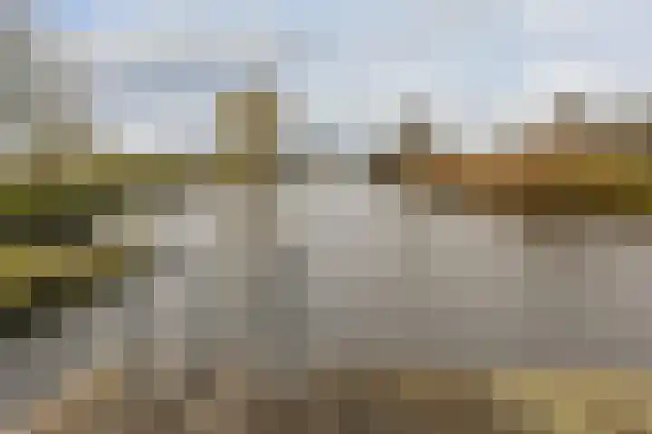 Achterbos 89 Vinkeveen thumbnail 27