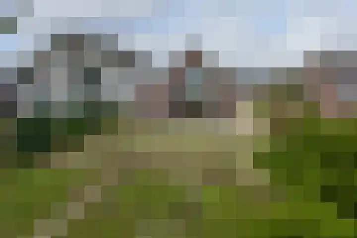 Achterbos 89 Vinkeveen thumbnail 31