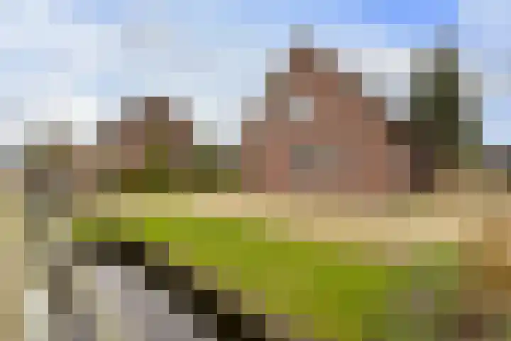 Achterbos 89 Vinkeveen thumbnail 34