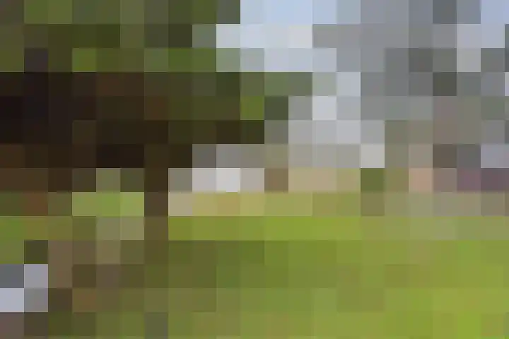 Achterbos 89 Vinkeveen thumbnail 35