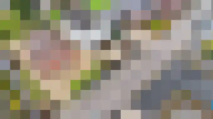 Achterbos 89 Vinkeveen thumbnail 37