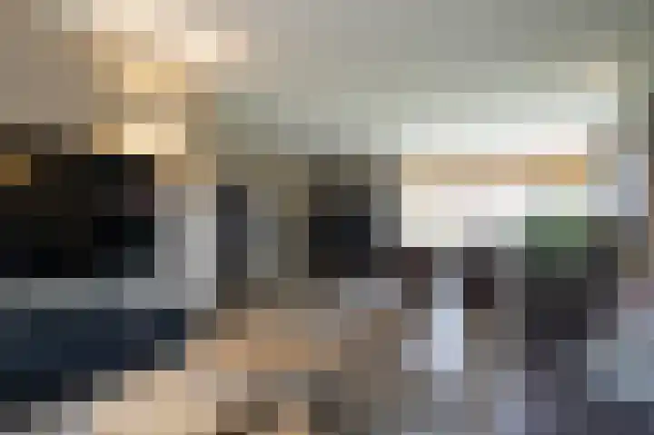 Achterdijk 1 Arkel thumbnail 12
