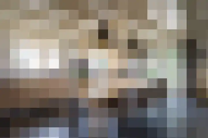 Achterdijk 1 Arkel thumbnail 19