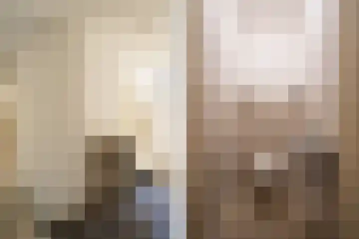 Achterdijk 1 Arkel thumbnail 23