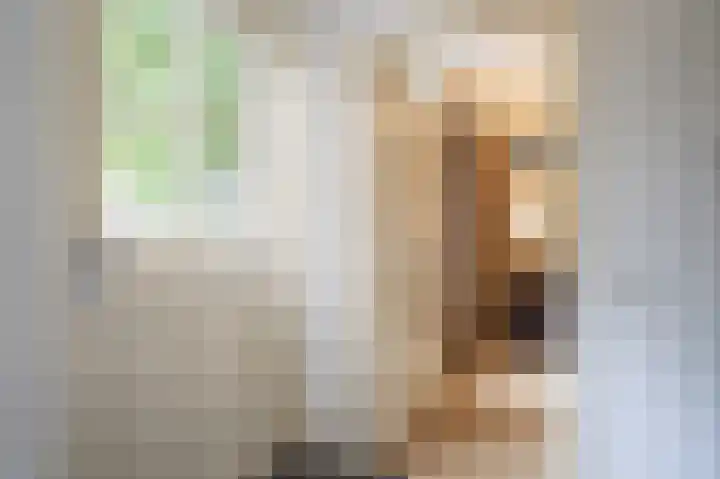 Achterdijk 1 Arkel thumbnail 24