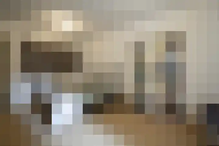 Achterdijk 1 Arkel thumbnail 28