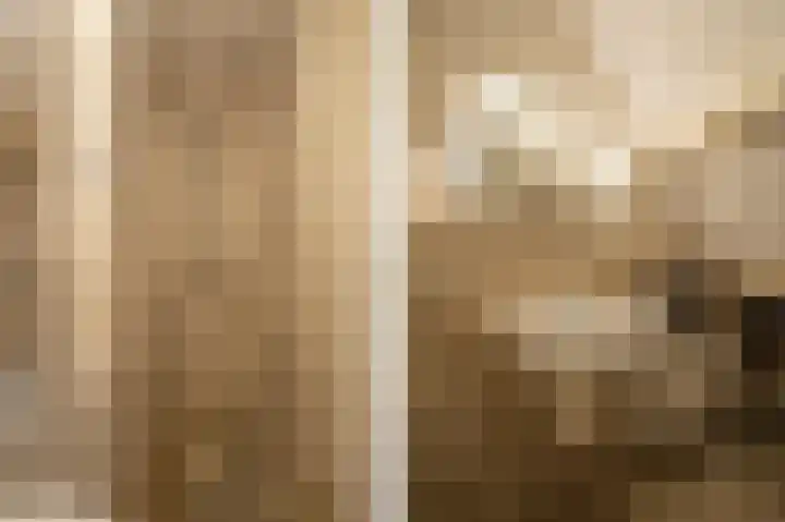 Achterdijk 1 Arkel thumbnail 33
