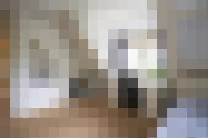 Achterdijk 1 Arkel thumbnail 38