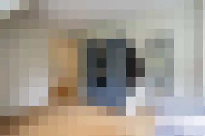 Achterdijk 1 Arkel thumbnail 41