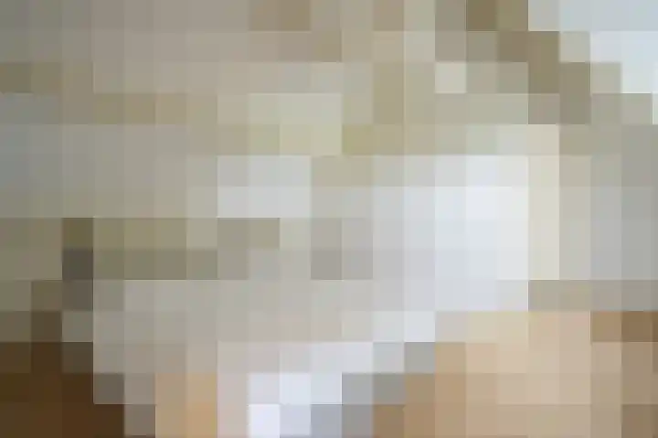 Achterdijk 1 Arkel thumbnail 47