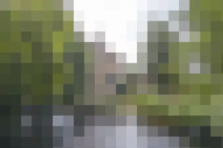 Achterdijk 1 Arkel thumbnail 5