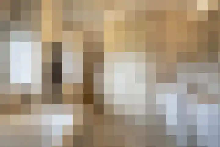 Achterdijk 1 Arkel thumbnail 50