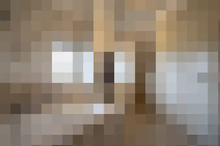 Achterdijk 1 Arkel thumbnail 51