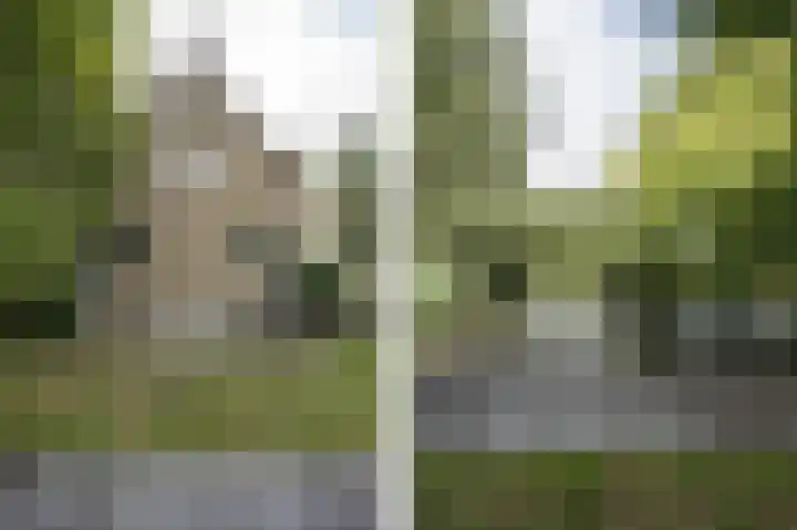 Achterdijk 1 Arkel thumbnail 55