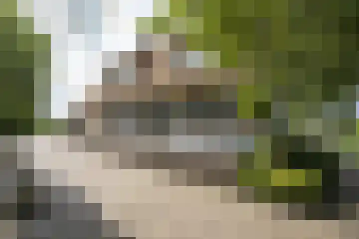 Achterdijk 1 Arkel thumbnail 57