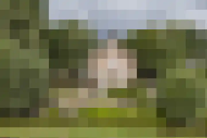 Achterdijk 1 Arkel thumbnail 60