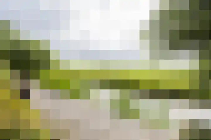 Achterdijk 1 Arkel thumbnail 63