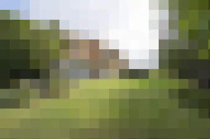 Achterdijk 1 Arkel thumbnail 64