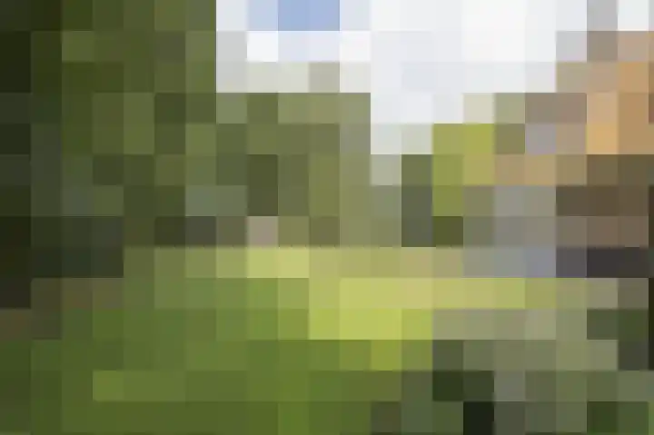 Achterdijk 1 Arkel thumbnail 65