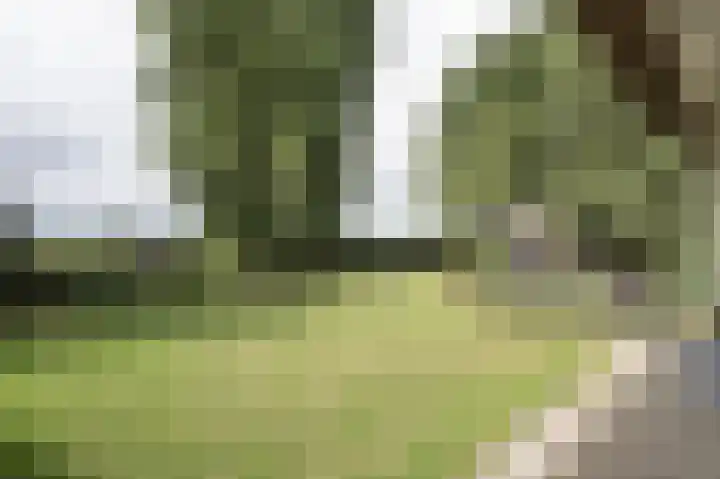 Achterdijk 1 Arkel thumbnail 66