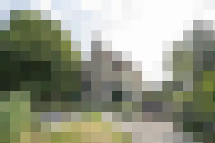 Achterdijk 1 Arkel thumbnail 67