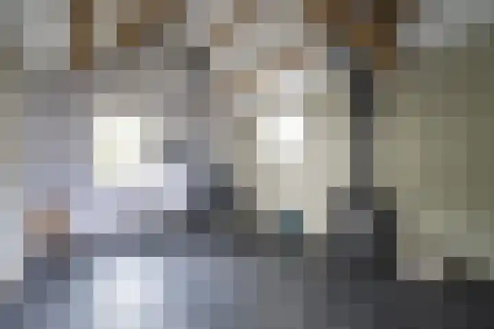 Achterdijk 1 Arkel thumbnail 69
