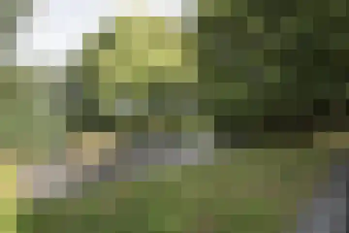 Achterdijk 1 Arkel thumbnail 72