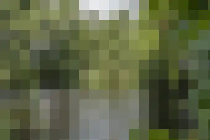Achterdijk 1 Arkel thumbnail 73