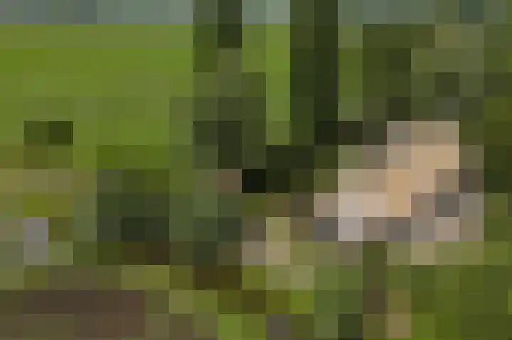 Achterdijk 1 Arkel thumbnail 78