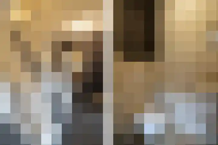 Achterdijk 1 Arkel thumbnail 8