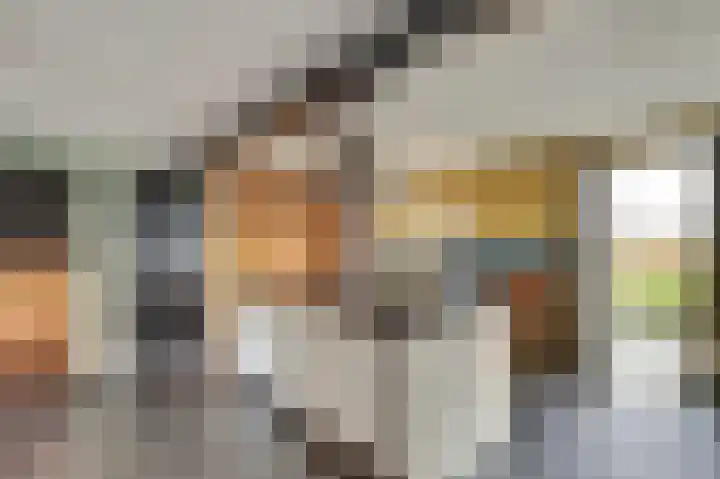 Achterdijk 14 Kedichem thumbnail 4