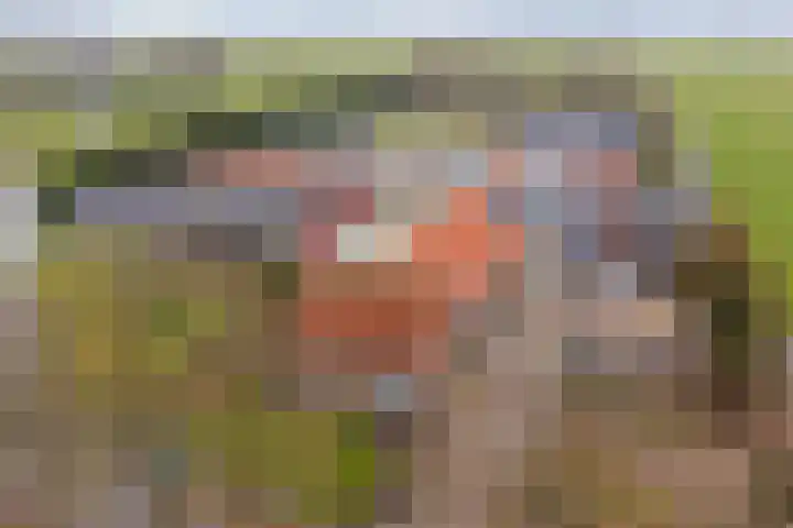 Achterdijk 14 Kedichem thumbnail 69