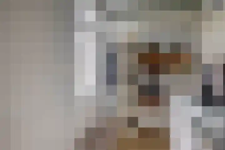 Achterdijk 17 Zevenbergen thumbnail 22