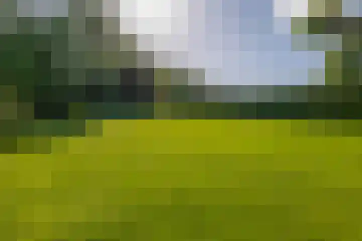 Achterdijk 17 Zevenbergen thumbnail 39