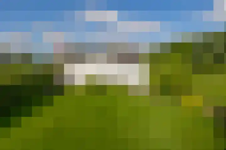 Achterdijk 17 Zevenbergen thumbnail 40