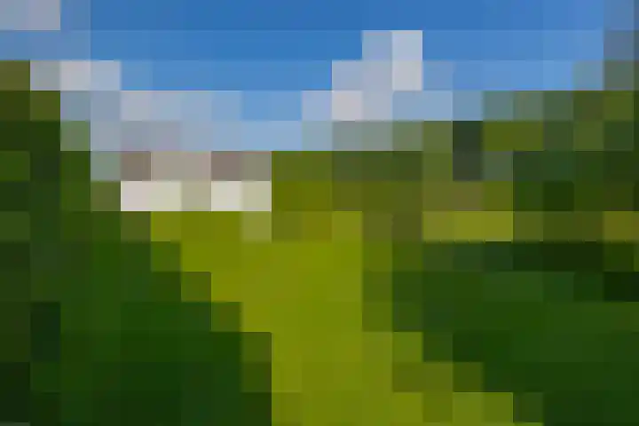 Achterdijk 17 Zevenbergen thumbnail 41