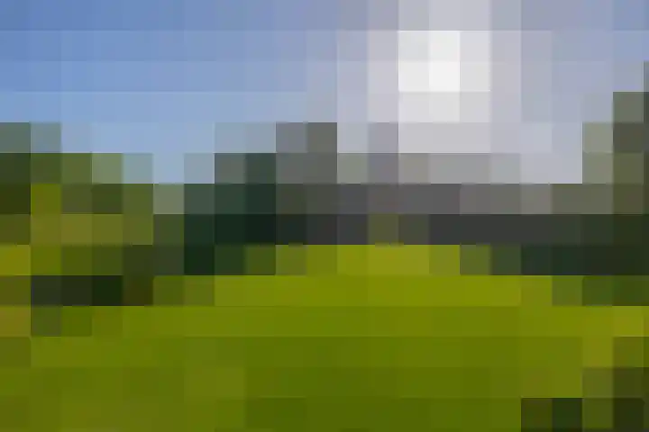 Achterdijk 17 Zevenbergen thumbnail 42