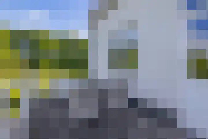 Achterdijk 17 Zevenbergen thumbnail 45