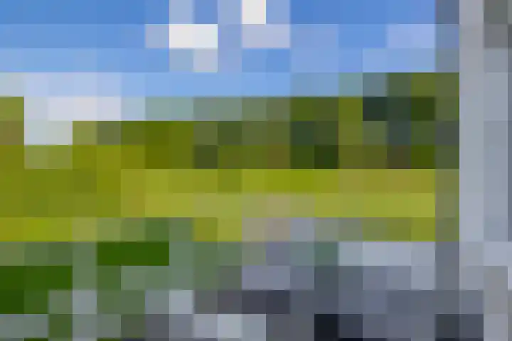 Achterdijk 17 Zevenbergen thumbnail 46