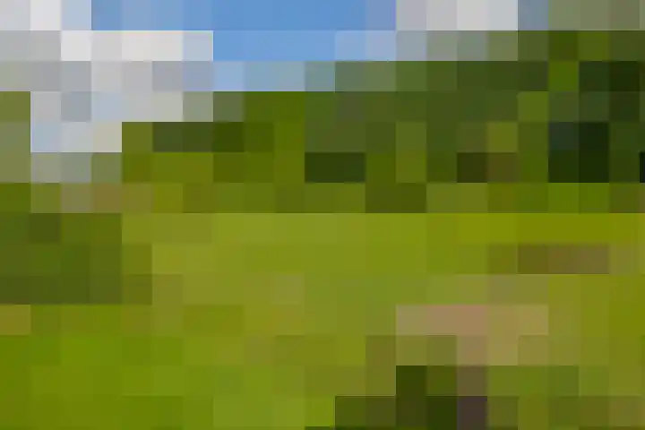 Achterdijk 17 Zevenbergen thumbnail 47