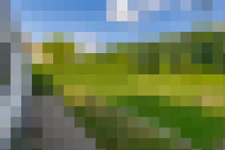 Achterdijk 17 Zevenbergen thumbnail 48
