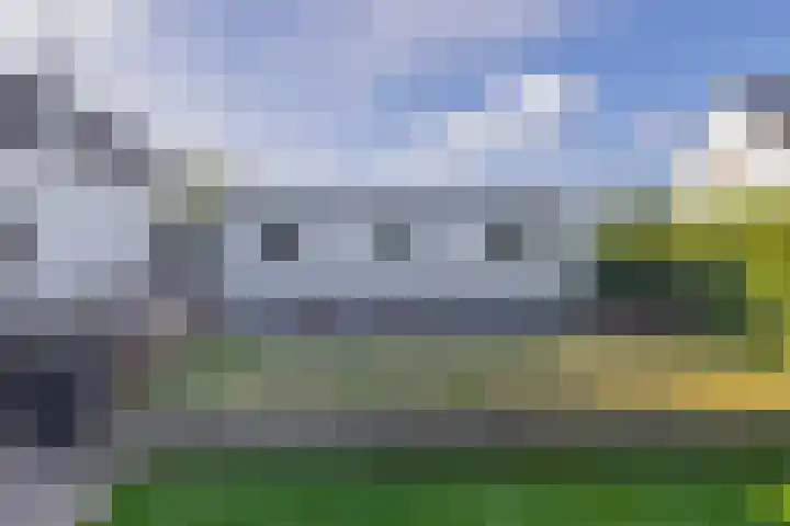 Achterdijk 17 Zevenbergen thumbnail 53