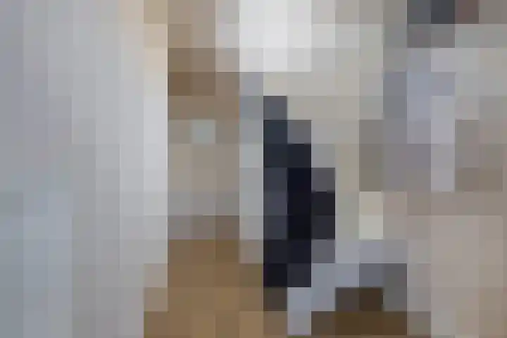 Achterdijk 17 Zevenbergen thumbnail 6