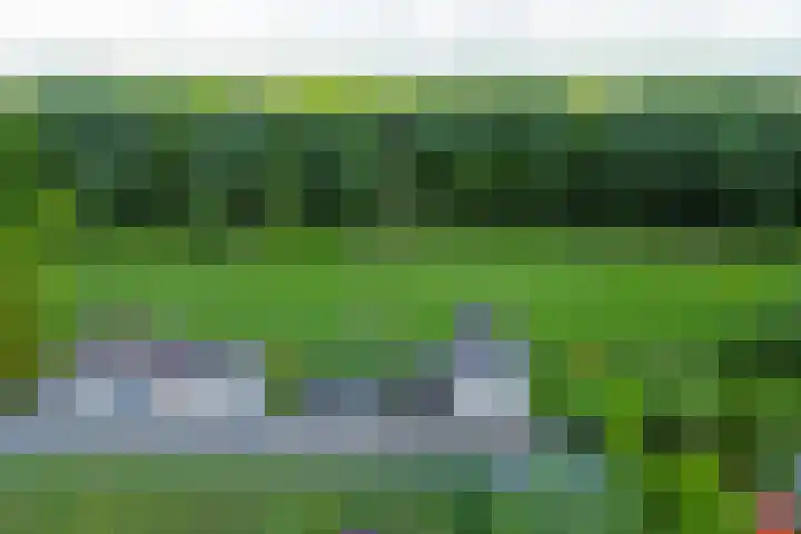 Achterdijk 17 Zevenbergen thumbnail 70