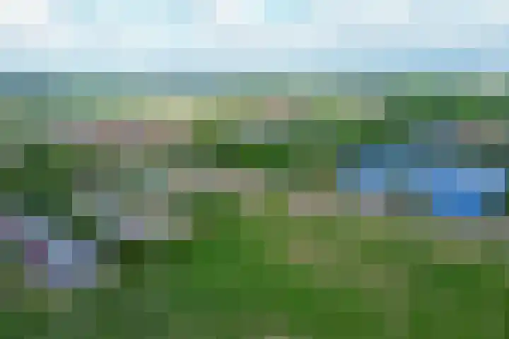 Achterdijk 17 Zevenbergen thumbnail 77