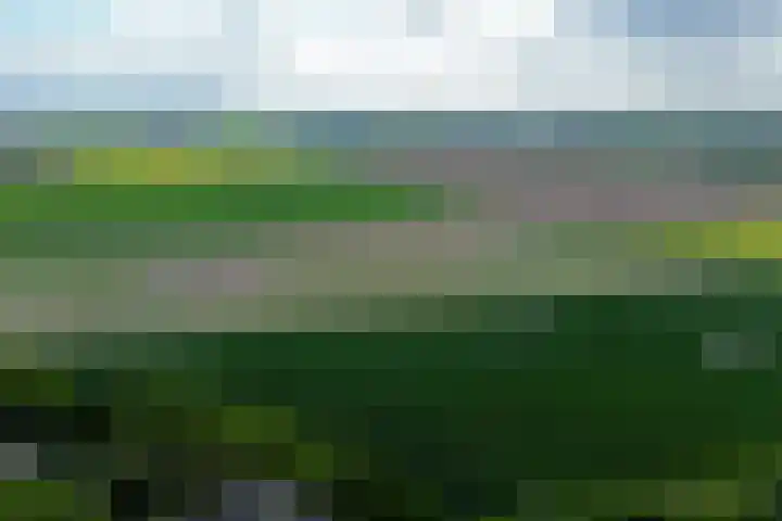 Achterdijk 17 Zevenbergen thumbnail 78