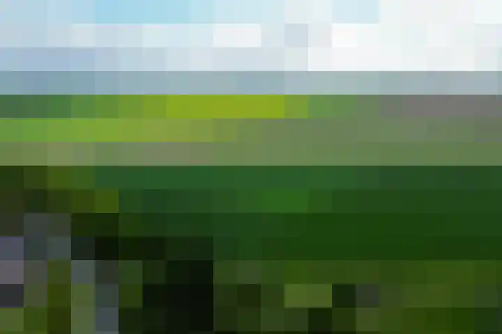 Achterdijk 17 Zevenbergen thumbnail 79