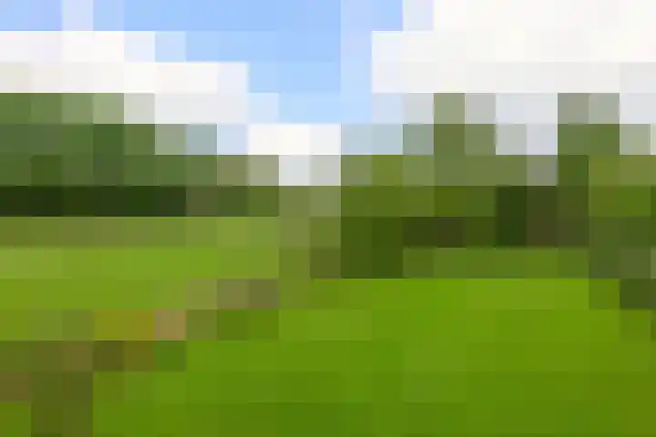 Achterdijk 17 Zevenbergen thumbnail 80